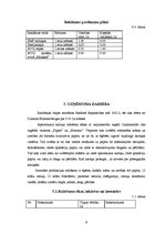 Biznesa plāns 'SIA "Kartiņa"', 9.