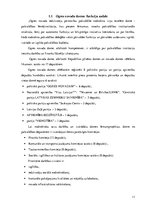 Referāts 'Referāts par Ogres novada pašvaldību', 11.