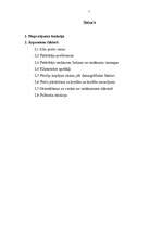 Referāts 'Ārpuscenu faktoru ietekme uz pieprasījumu', 2.