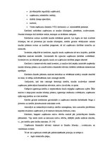 Diplomdarbs 'Uzņēmuma SIA "X" finansiālās darbības analīze', 13.