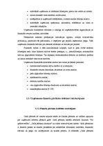 Diplomdarbs 'Uzņēmuma SIA "X" finansiālās darbības analīze', 14.