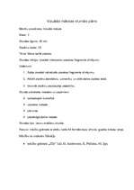 Konspekts 'Mana lasītā pasaka. Vizuālās mākslas stundas plāns', 1.