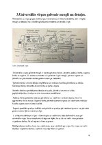 Konspekts 'Virpošana', 6.