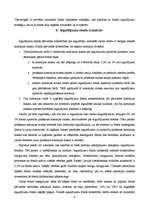 Referāts 'Ieguldījumu fondi', 8.