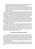 Referāts 'Ieguldījumu fondi', 13.