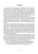 Referāts 'Ieguldījumu fondi', 16.