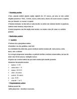 Referāts 'Numuru uzskaites sistēma viesnīcai', 4.