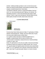 Referāts 'Sakrālais tūrisms Jēkabpils rajonā', 13.