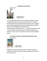 Referāts 'Sakrālais tūrisms Jēkabpils rajonā', 15.