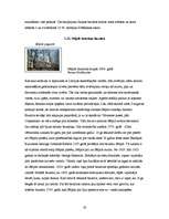 Referāts 'Sakrālais tūrisms Jēkabpils rajonā', 19.