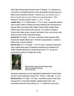 Referāts 'Sakrālais tūrisms Jēkabpils rajonā', 27.