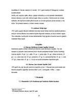 Referāts 'Sakrālais tūrisms Jēkabpils rajonā', 28.