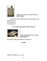 Referāts 'Sakrālais tūrisms Jēkabpils rajonā', 29.