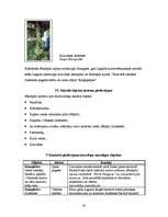 Referāts 'Sakrālais tūrisms Jēkabpils rajonā', 30.