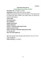 Referāts 'Sakrālais tūrisms Jēkabpils rajonā', 33.