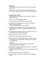 Konspekts 'Estētikas jēdzieni', 3.