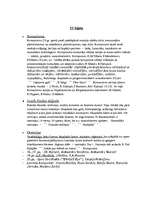 Konspekts 'Mūzikas literatūras gala eksāmena 4.biļete', 1.