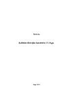 Referāts 'Izcilākās Krievijas katedrāles 11.-16.gadsimtā', 1.