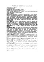 Referāts 'Vītols - Māras koks', 5.