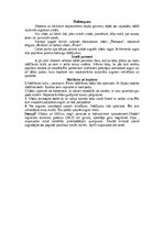 Referāts 'Vītols - Māras koks', 6.