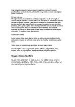 Konspekts 'Mīklas izstrādājumi un iekārtas', 19.