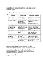 Konspekts 'Mīklas izstrādājumi un iekārtas', 30.