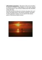 Referāts 'Saulriets', 4.