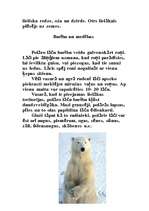 Referāts 'Baltais lācis', 2.