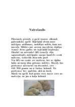 Referāts 'Baltais lācis', 5.