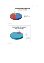Referāts 'Televīzijas loma ģimenē', 17.