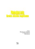 Paraugs 'Dzelzs oksīda iegūšana', 1.