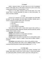 Referāts 'Aborts', 3.