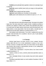 Referāts 'Aborts', 4.