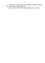 Eseja 'Mana attieksme pret citādiem', 3.