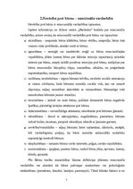 Referāts 'Nevērība pret bērniem - cēloņi un sekas', 5.