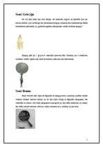 Referāts 'Spogulis cauri kultūrām', 5.