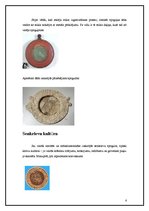 Referāts 'Spogulis cauri kultūrām', 6.