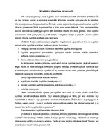 Referāts 'Kvalitātes vadība pirmsskolas izglītības iestādē', 2.