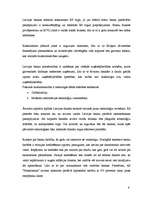 Prakses atskaite 'Prakses atskaite a/s "Hansabanka". 2006.gads', 9.