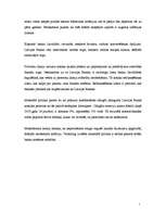 Prakses atskaite 'Prakses atskaite a/s "Hansabanka". 2006.gads', 14.