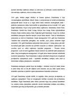 Prakses atskaite 'Prakses atskaite a/s "Hansabanka". 2006.gads', 19.