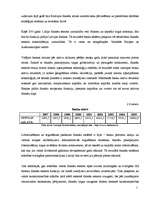 Prakses atskaite 'Prakses atskaite a/s "Hansabanka". 2006.gads', 23.