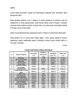 Prakses atskaite 'Prakses atskaite a/s "Hansabanka". 2006.gads', 24.