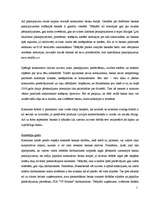 Prakses atskaite 'Prakses atskaite a/s "Hansabanka". 2006.gads', 27.