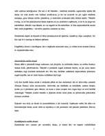 Prakses atskaite 'Prakses atskaite a/s "Hansabanka". 2006.gads', 29.