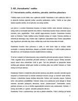 Prakses atskaite 'Prakses atskaite a/s "Hansabanka". 2006.gads', 36.