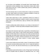 Prakses atskaite 'Prakses atskaite a/s "Hansabanka". 2006.gads', 39.