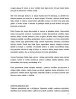 Prakses atskaite 'Prakses atskaite a/s "Hansabanka". 2006.gads', 40.