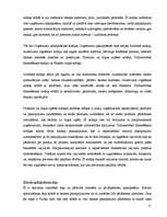 Prakses atskaite 'Prakses atskaite a/s "Hansabanka". 2006.gads', 41.