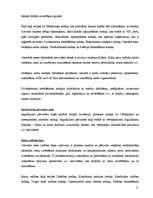 Prakses atskaite 'Prakses atskaite a/s "Hansabanka". 2006.gads', 42.